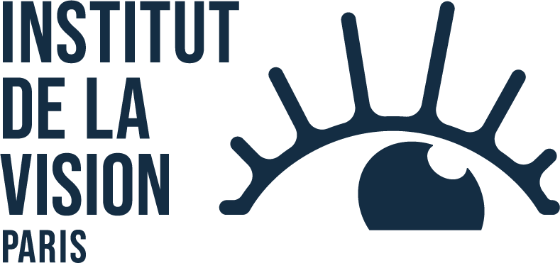 Institut de la Vision logo.